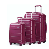 Trolley PP FROM MMCIS CHINA